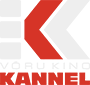 Võru kino