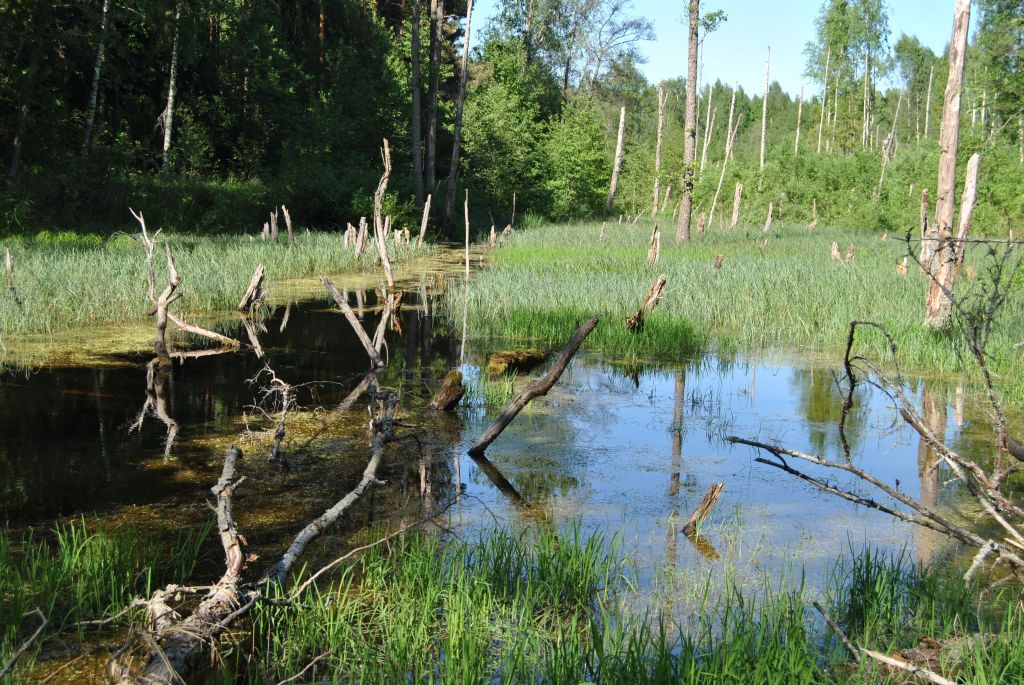 Ähijärve teerada (4 km)