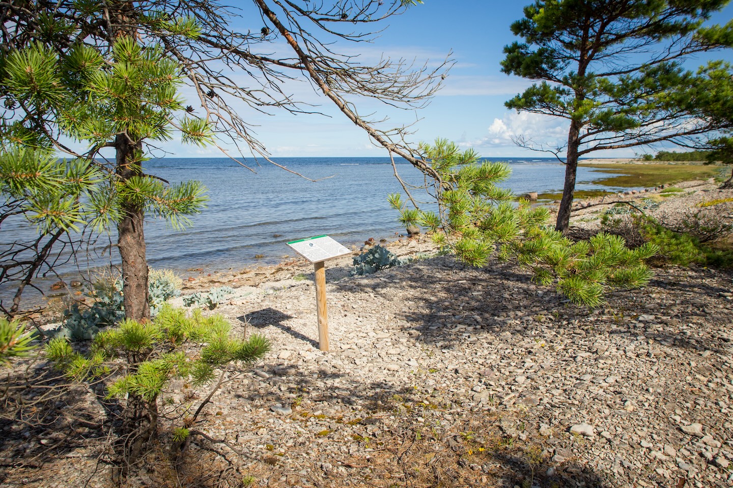 Abula-Kalasma õpperada (11,2 km)
