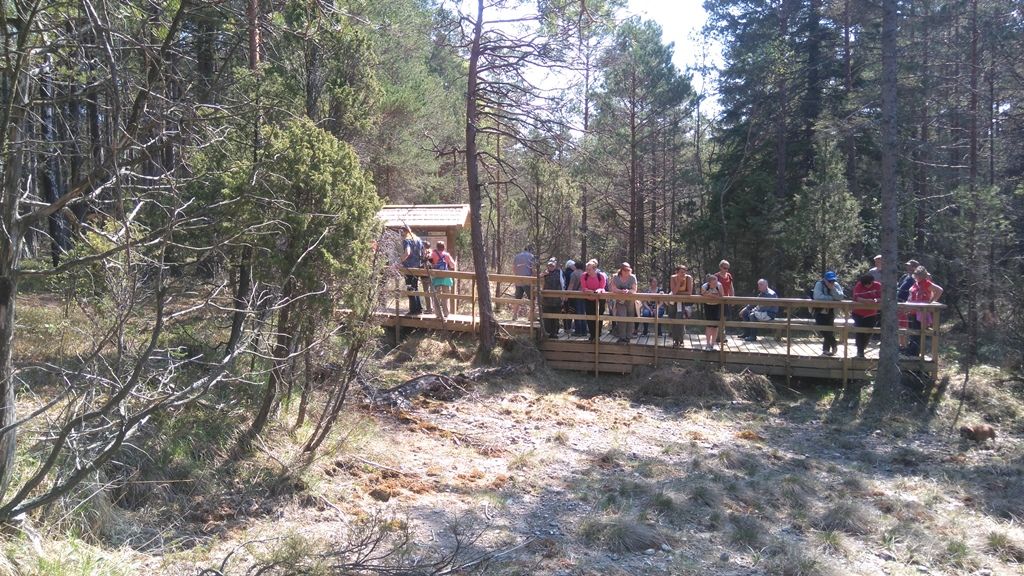 Allikasoo õpperada (2,5 km)