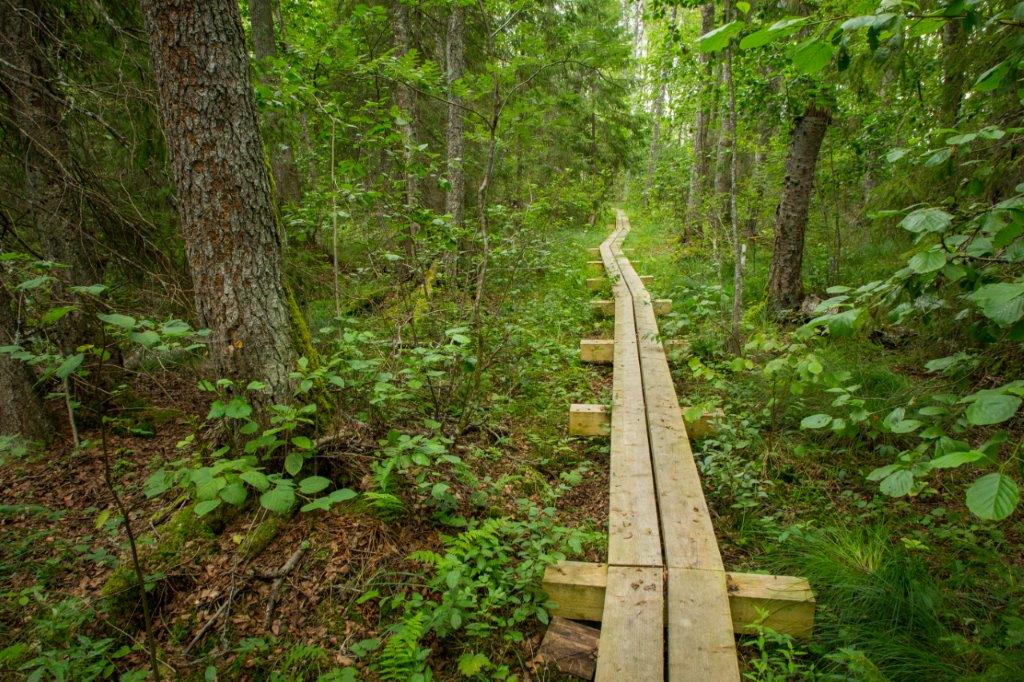 Endla järve matkarada (8 km)