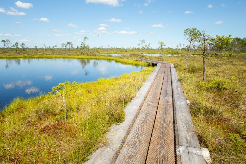 Ingatsi õpperada (4,3 km)