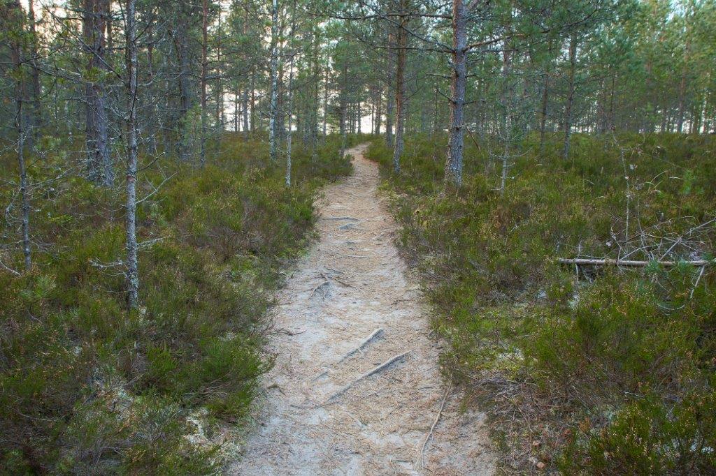 Haldjarada (1,4 km)