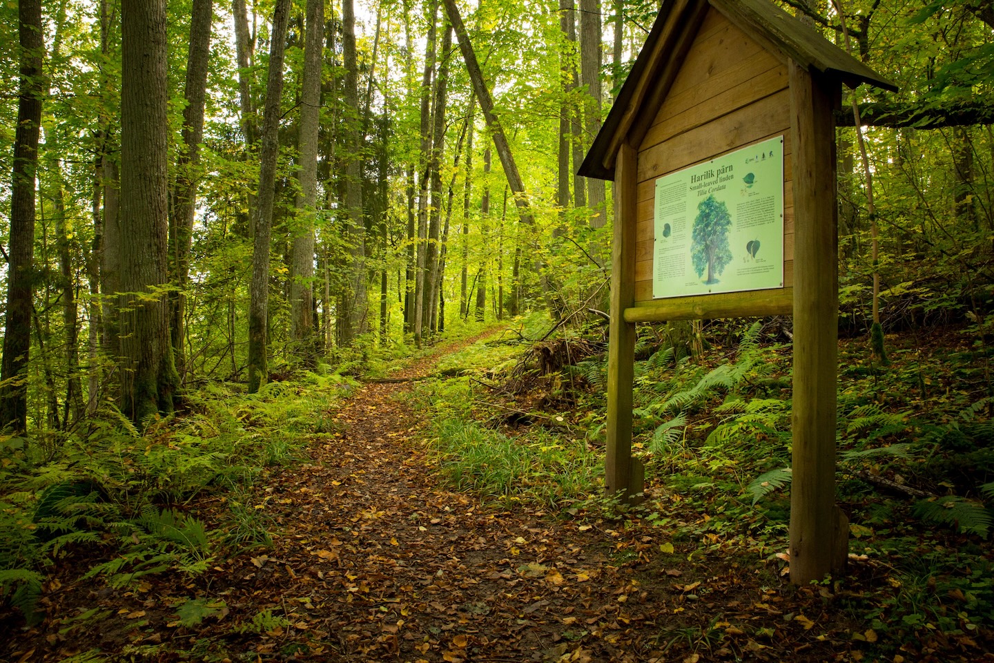 Heimtali õpperada  (2,5 km)
