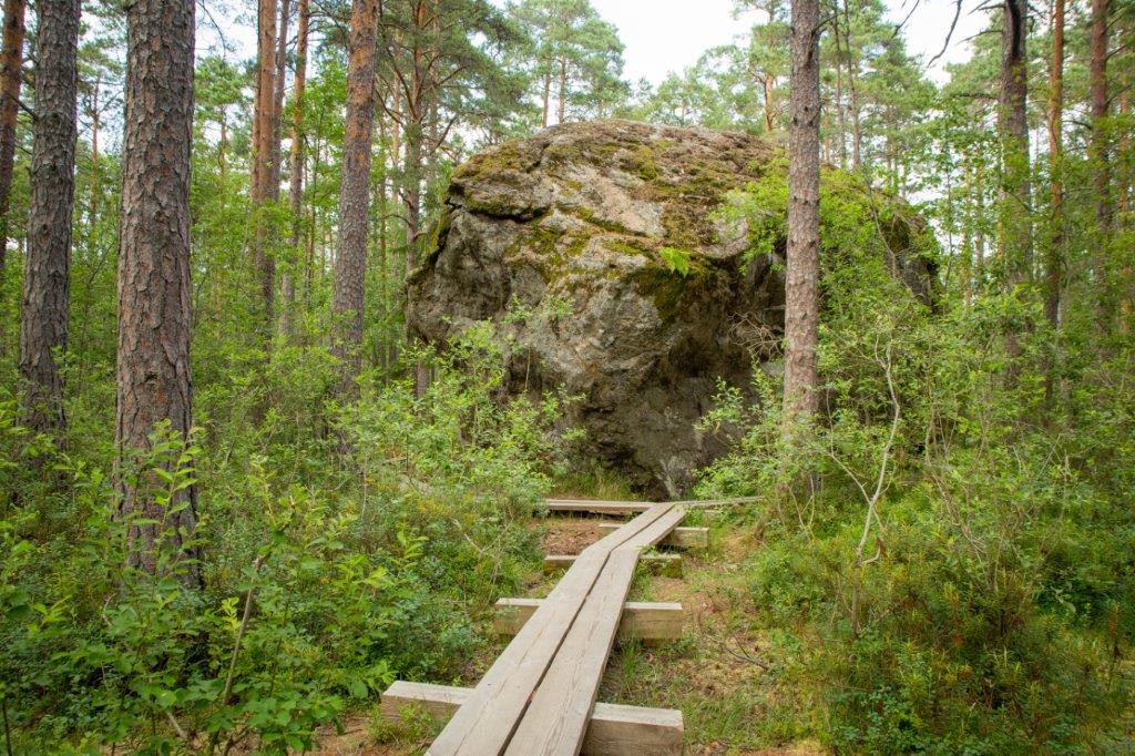 Majakivi-Pikanõmme loodusõpperada (7 km)