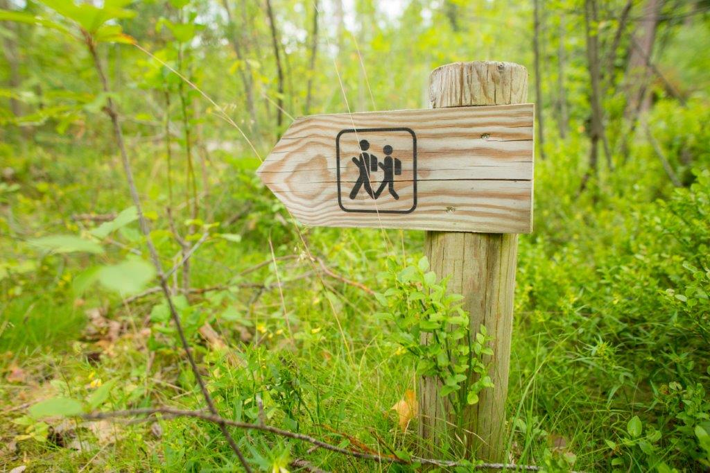 Seljamäe loodusrada (7 km)