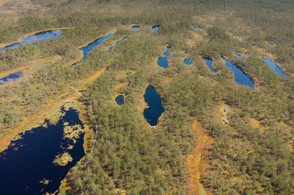 Selisoo loodusrada (4 km)