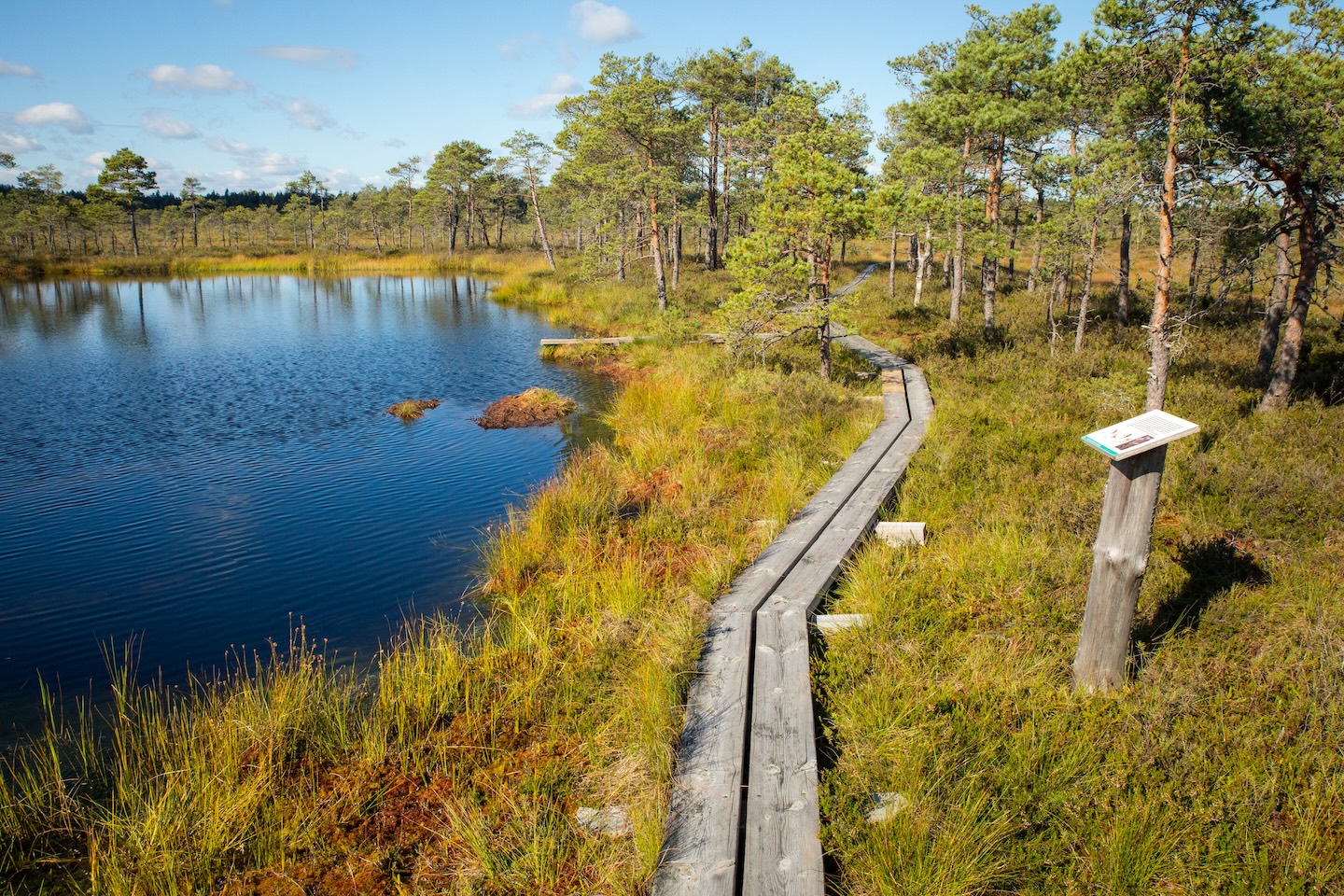 Tammsaare-Järva-Madise loodusrada (4 km)