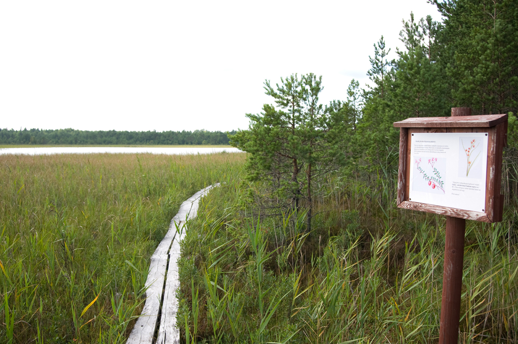 Valgejärve loodusõpperada (6,5 km)