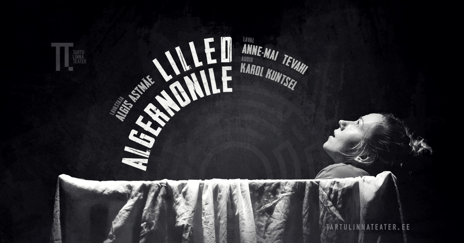 LILLED ALGERNONILE & VESTLUSÕHTU